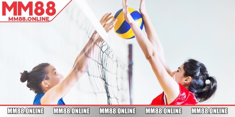 Thông tin giới thiệu về cá cược bóng chuyền