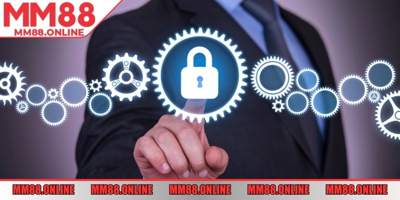 Thu thập dữ liệu chọn lọc, phục vụ xác thực và vận hành.